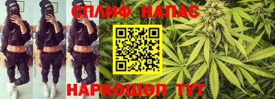 прущие грибы Кунгур