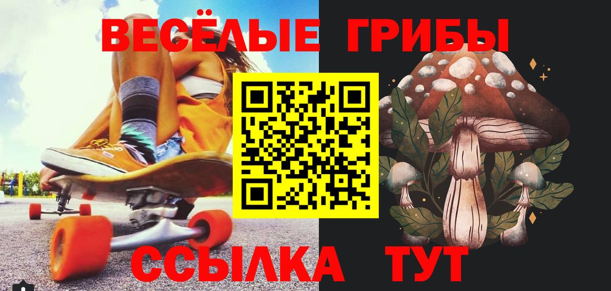 Казань  Псилоцибиновые грибы мухоморы  Вход с VPN  Псилоцибиновые грибы прущие грибы 